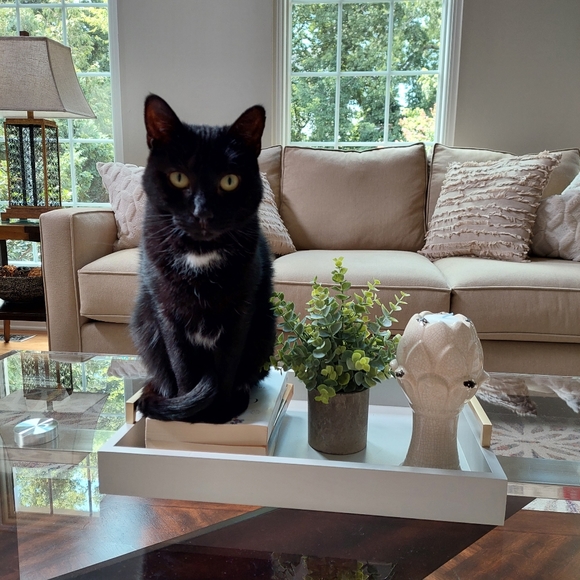 Come visit my closet! ❤️ Krista - Picture 1 of 7